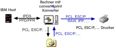 stream5.gif stream5.gif